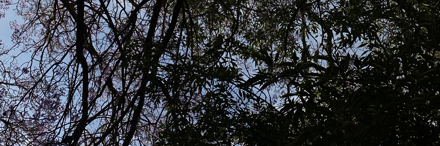 tamal de verde banner