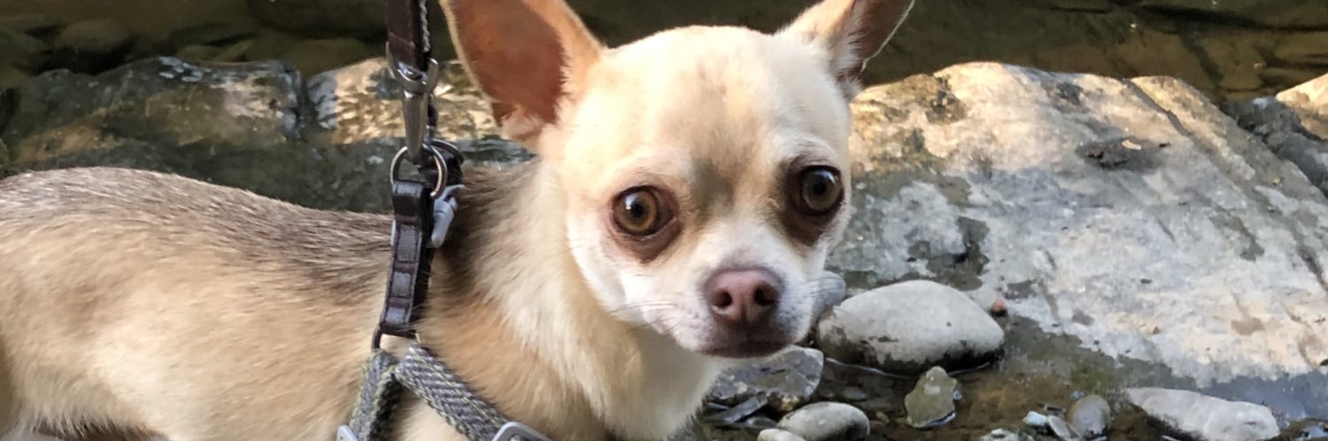 cheezus69's profile banner image