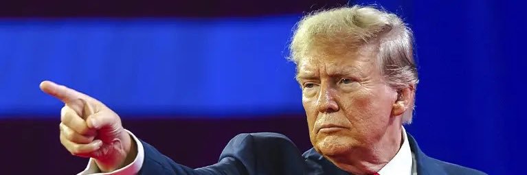 LETS GO WILD!!! banner