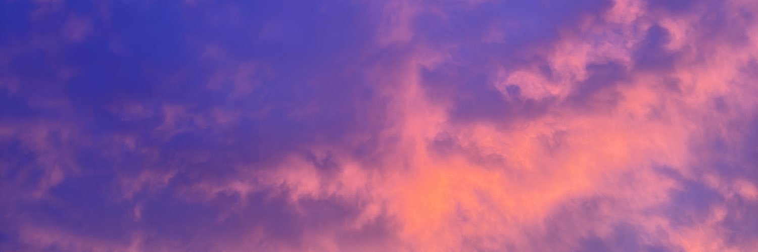 SincerelyGracie banner