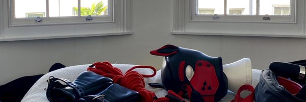 pup_latex_ Profile Banner