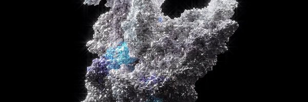 voicegemsarch Profile Banner