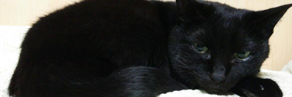 生理食塩水 banner