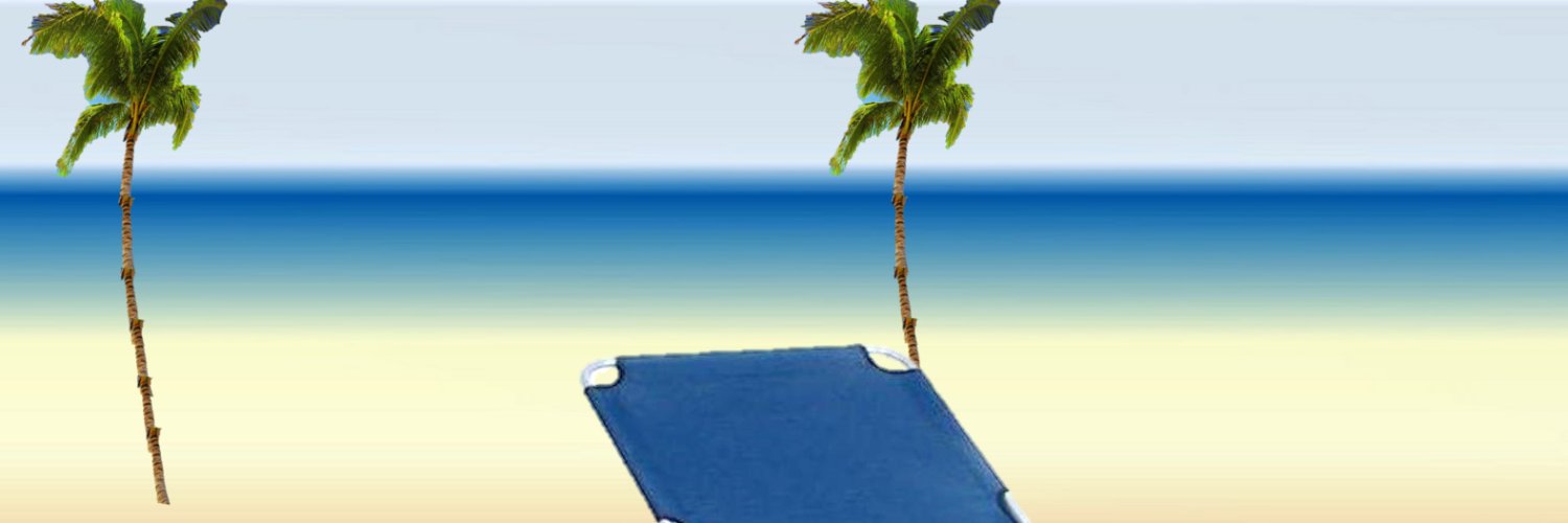 BSLavS's profile banner image