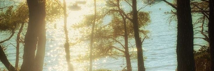 radleighx's profile banner image