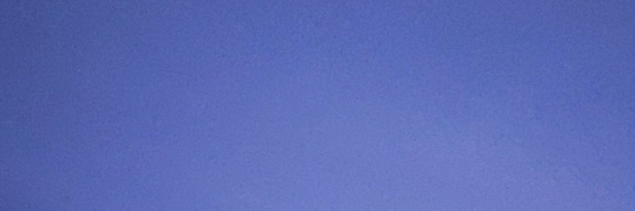 Coy banner