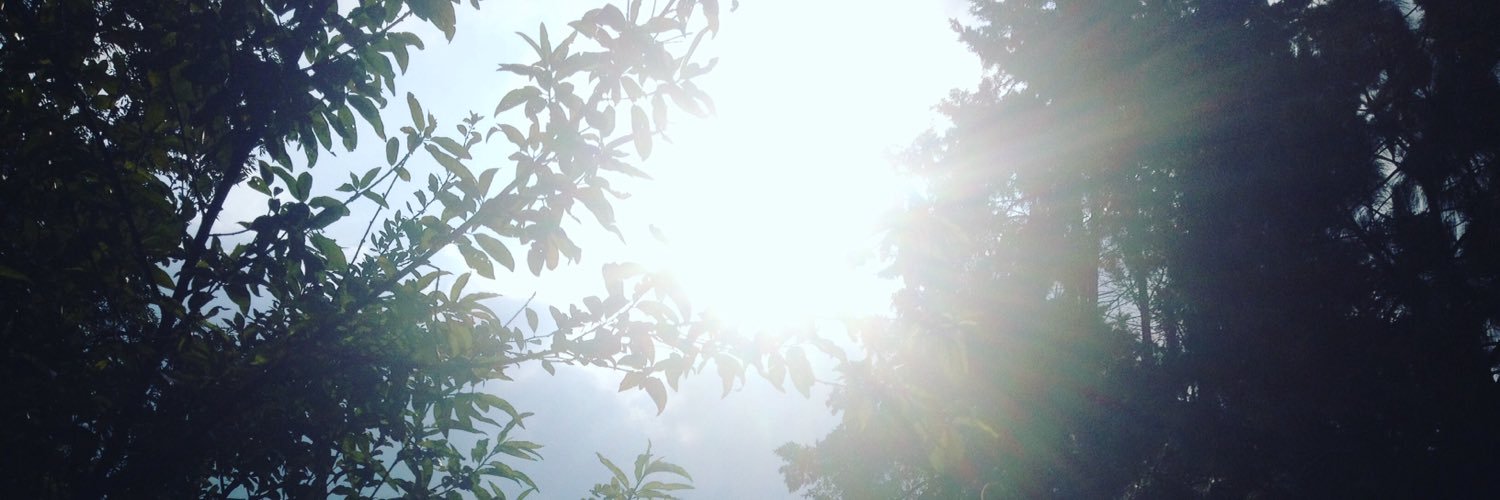 Carlos Olvera banner