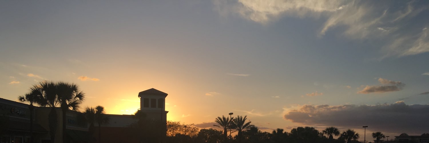 ALLY_PALM_00's profile banner image