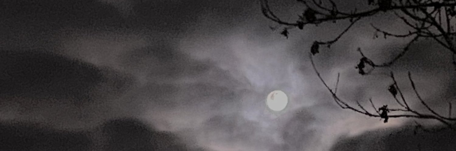 inessnzk's profile banner image