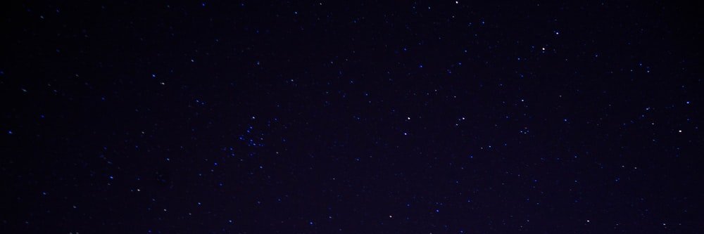 DOGMOON banner