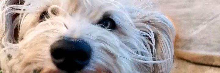 paleri_'s profile banner image