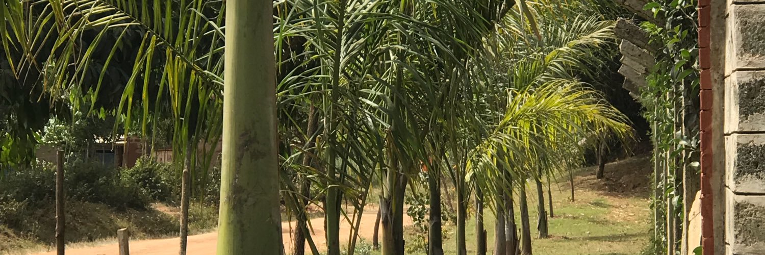 Wabomba Singoro banner