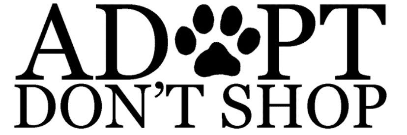 Cat_FosterMama's profile banner image