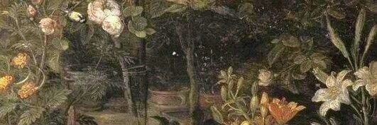 Ava banner