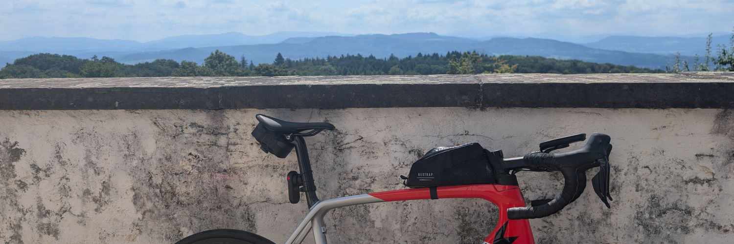 Denis A. Engemann banner