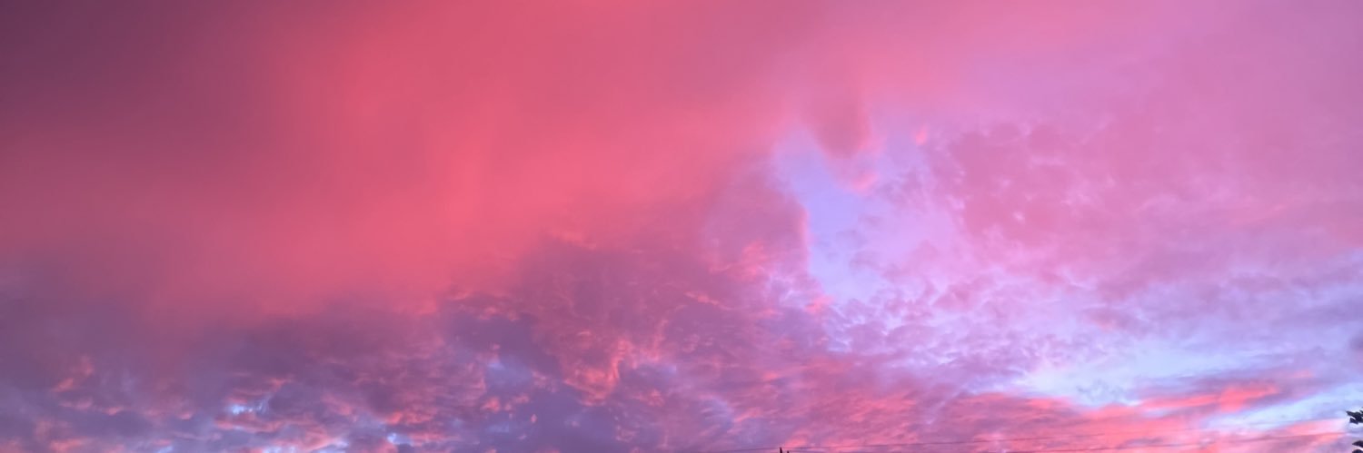 iShellee's profile banner image