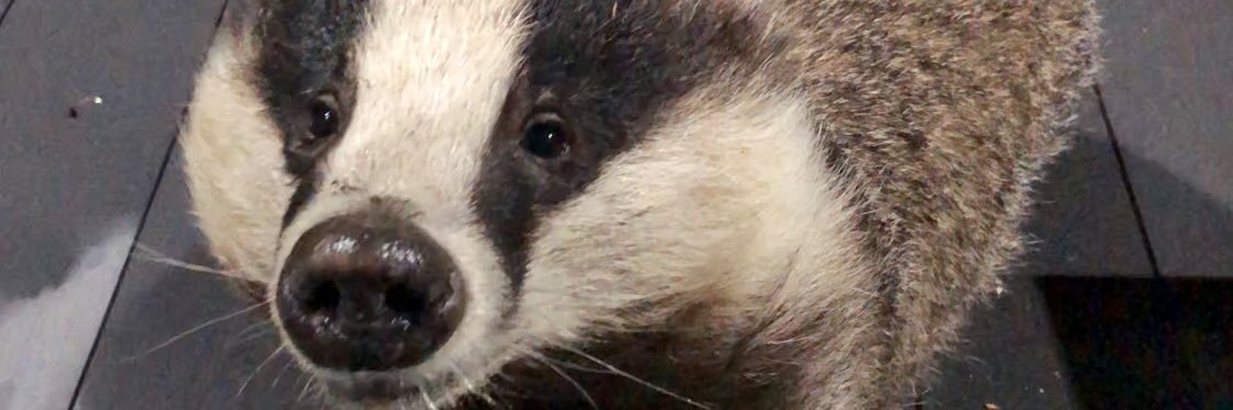Mr Lumpy & Friends's banner