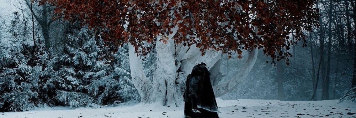 Snow banner