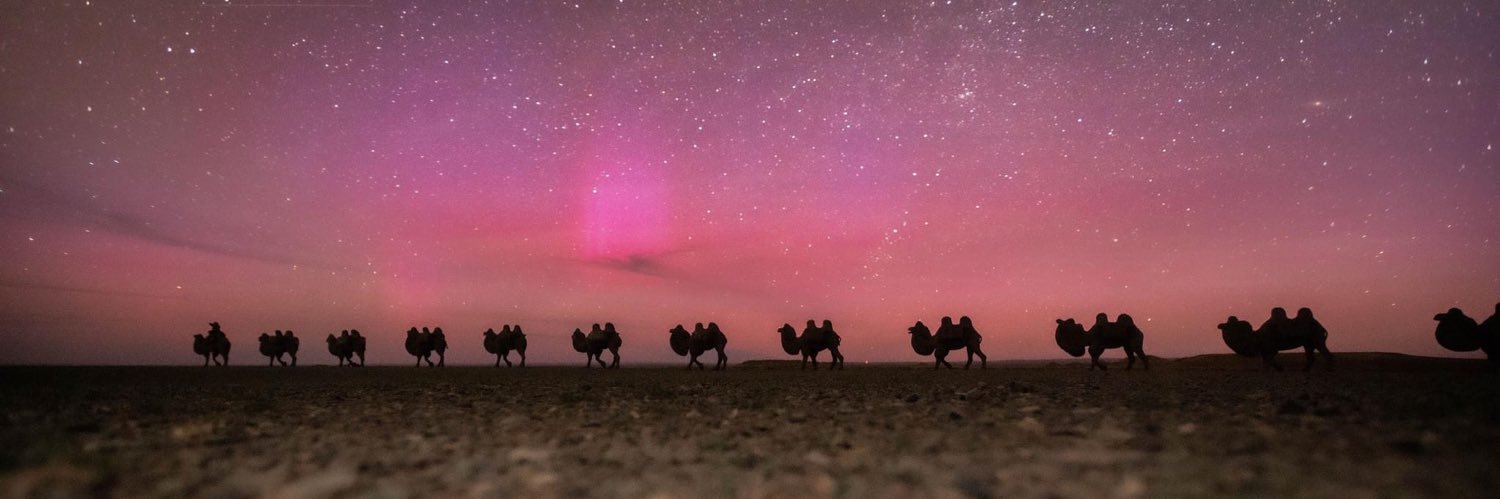 Bolormaa Enkhbat banner