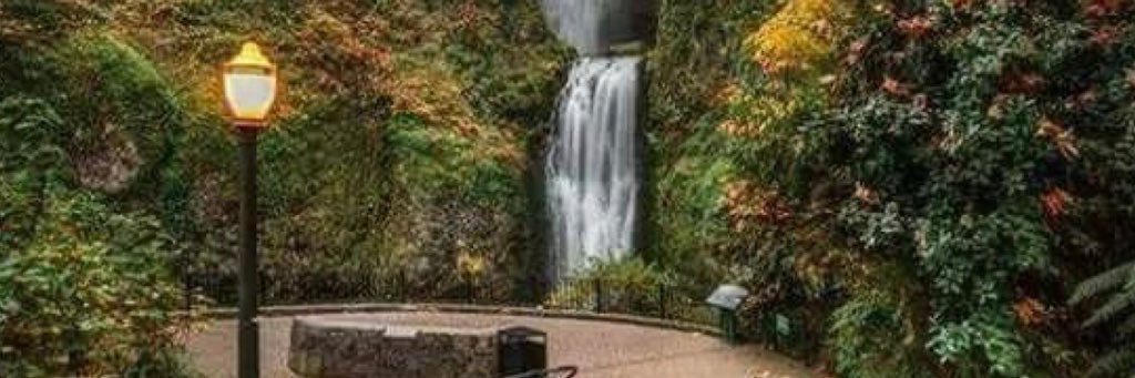 Bethany Kalich banner