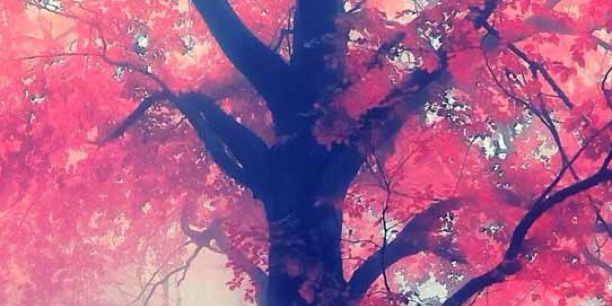 danyjauregui's profile banner image