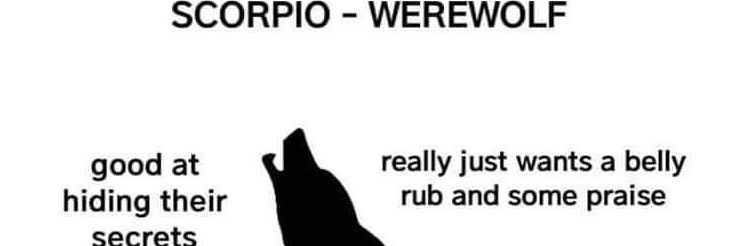 Wolfman782's profile banner image