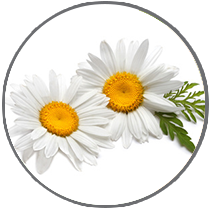 MommyCareSA's profile banner image
