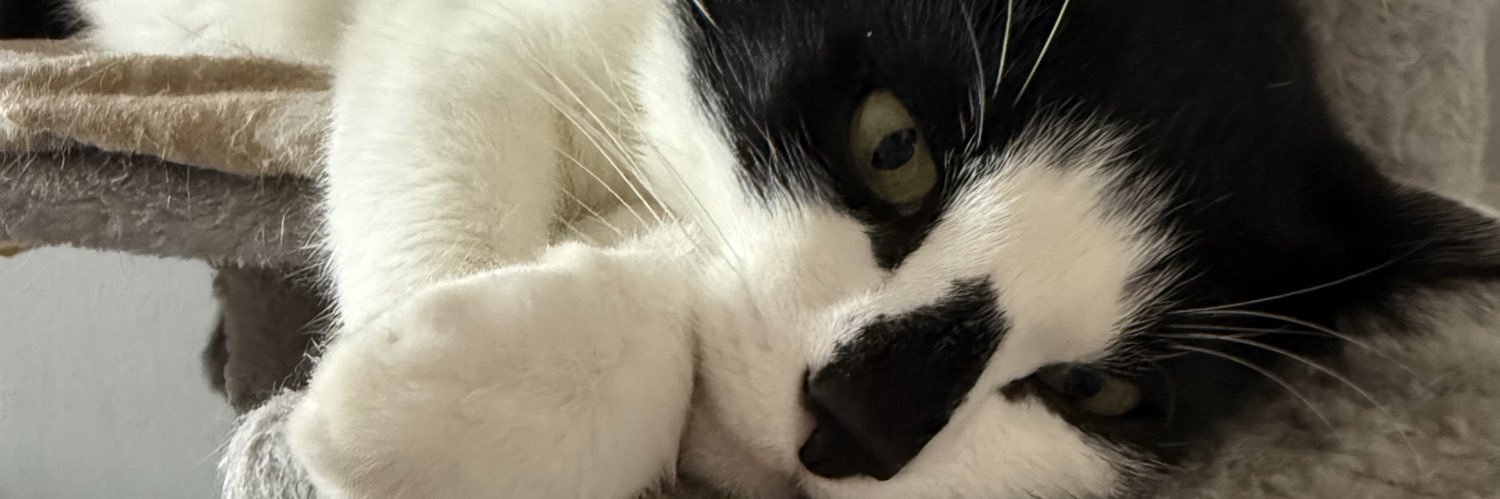 brumelune_'s profile banner image