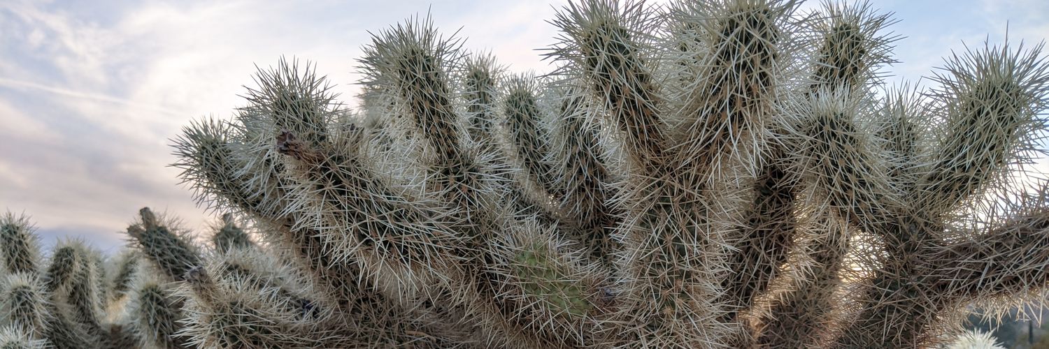 Thomas Hunsaker 🌵🐒 banner