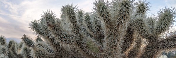 thunsaker Profile Banner