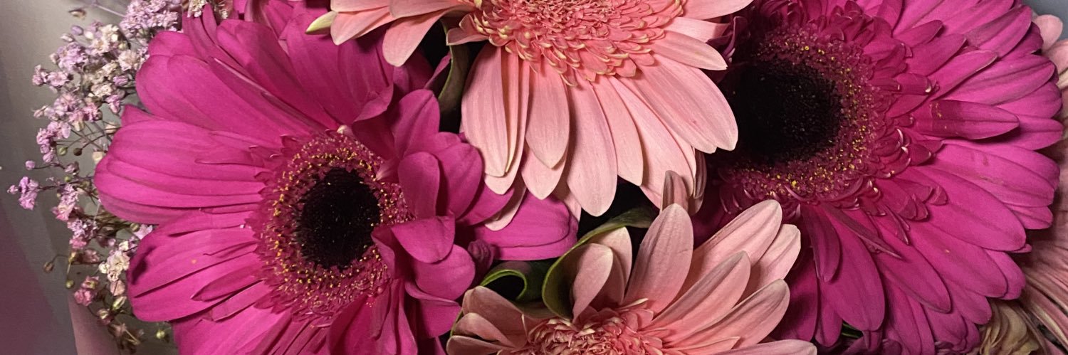 LESLY99's profile banner image