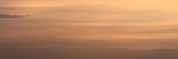Sammy banner