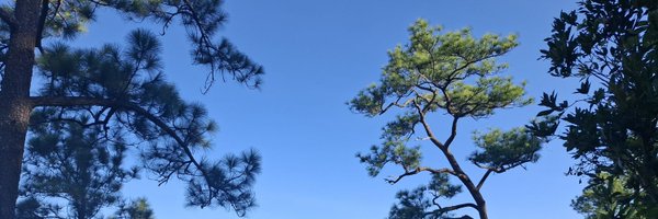 Kiw272 Profile Banner