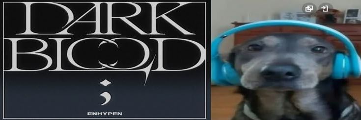 yjunvamp's profile banner image