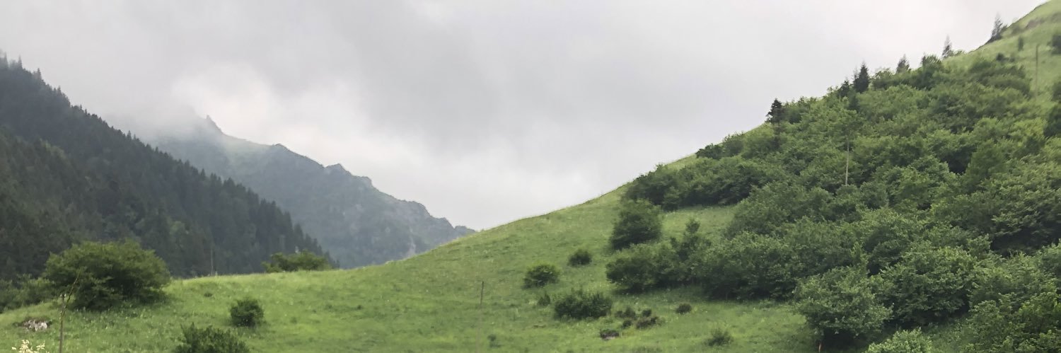 yaziciogluata's profile banner image