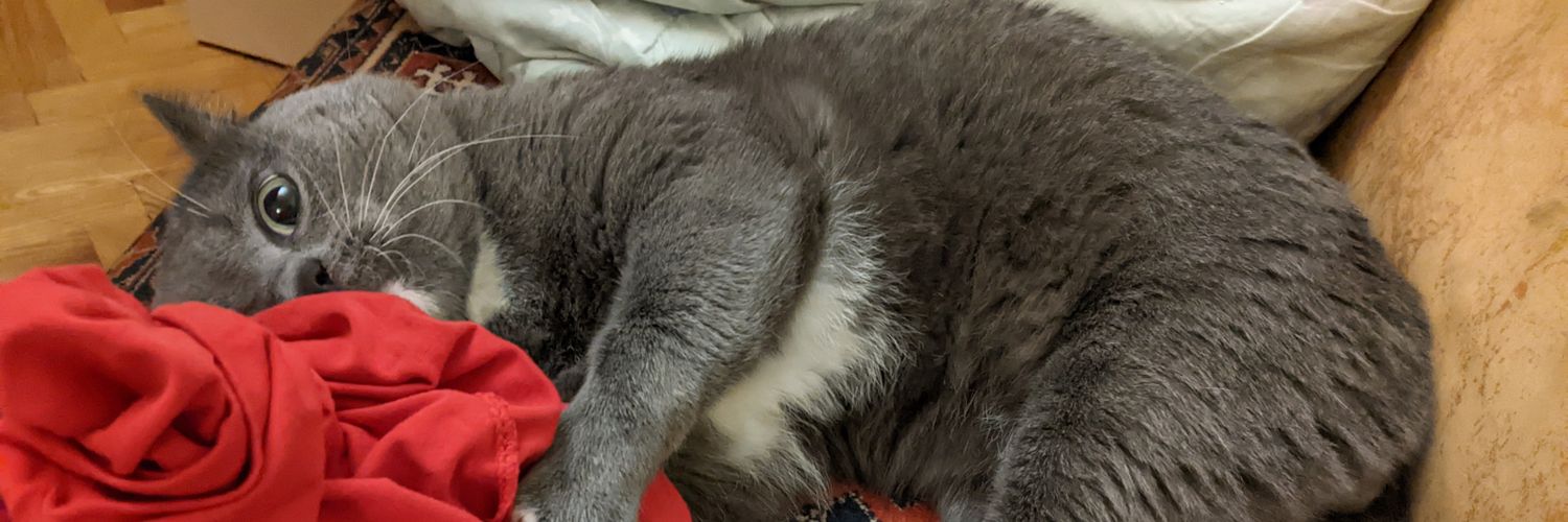 HvostikCat's profile banner image