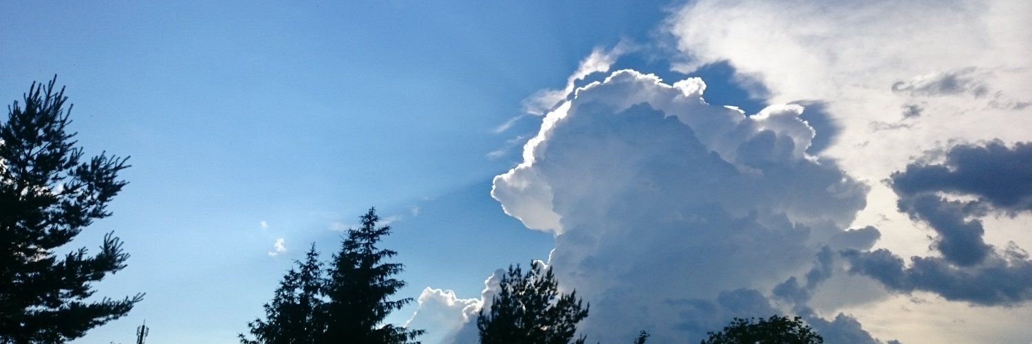 Robert Walaski banner