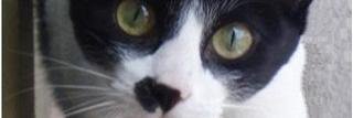 albertopardoc's profile banner image