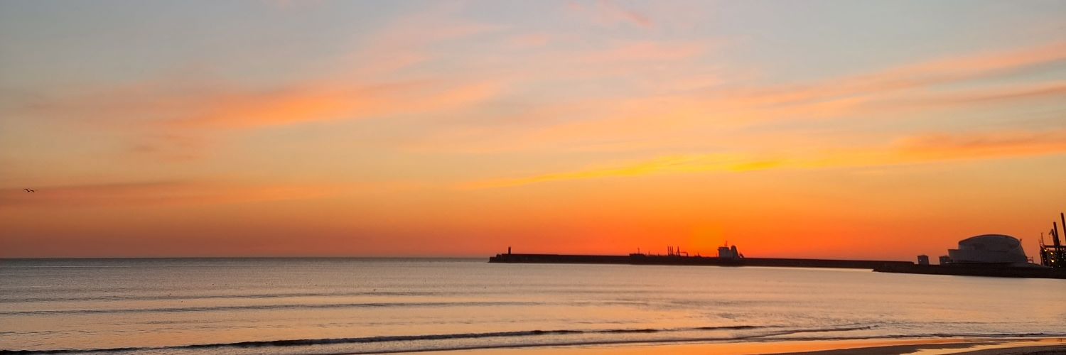 tsfcorte's profile banner image