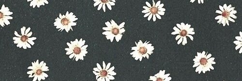 JadenLis's profile banner image