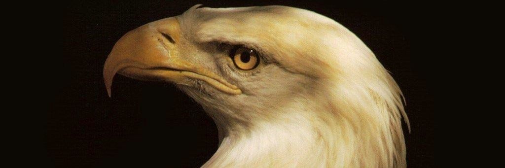 dagarciaj's profile banner image