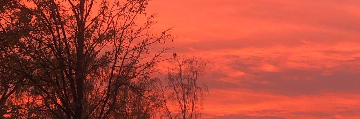 malinusiq's profile banner image