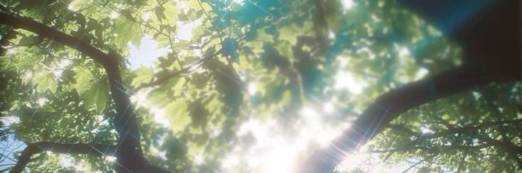 ‏ؘ banner