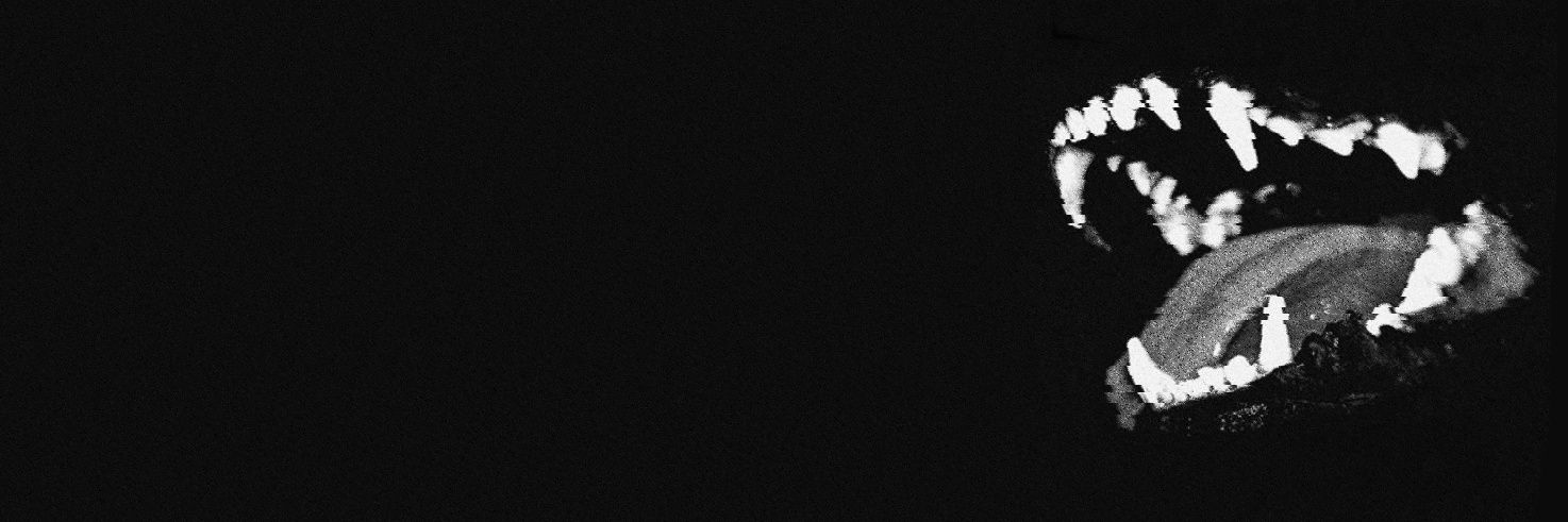 _ZERBYVIVIVI's profile banner image
