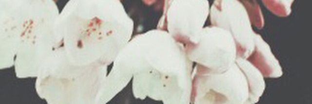 rdvlvteriy's profile banner image
