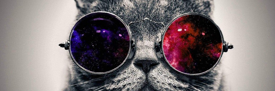Selma_Gu's profile banner image