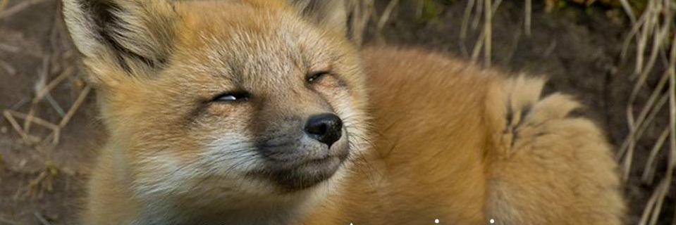 huriarkn's profile banner image
