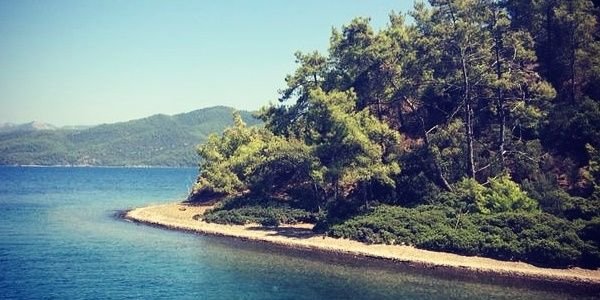 mermeldem's profile banner image