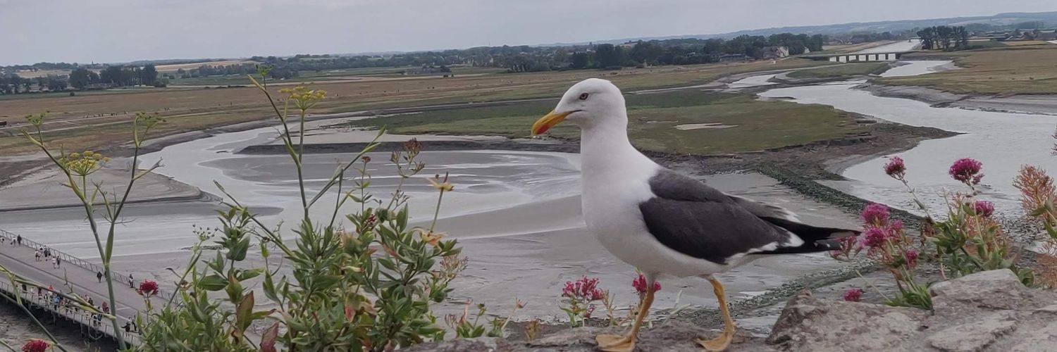 אפרת קליין banner