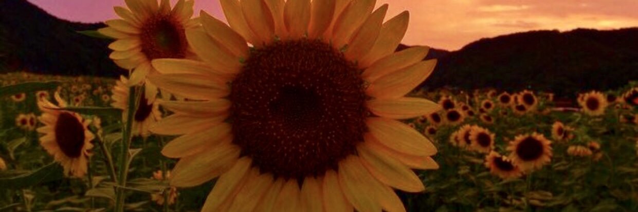 oliviasauerr's profile banner image